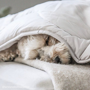 Quilted Snuggle Blanket in Wheat-2