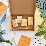 Citrus Soap Trial Box - 4 pieces-3