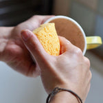 Compostable Cellulose Sponges - Pack of 2-3