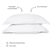Sleepyhead Silk Pillow Set in White (Top Seller)-1
