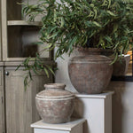 Siena Brown Water Pot-0