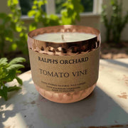 Tomato Vine-2