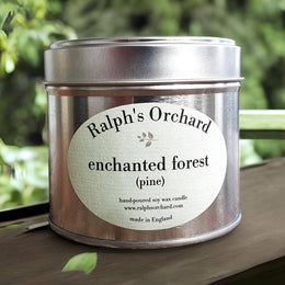 Enchanted Forest – Pine Tree Scented Candle-0