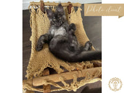 Taupe cat hammock + wooden support-17