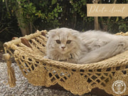 Taupe cat hammock + wooden support-16