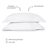 Sleepyhead Silk Pillow Set in White (Top Seller)-1