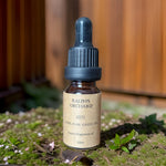 Classic Collection Fragrance Oils-2