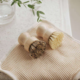 Pots & Pans Scrubbing Brushes (Set of 2)-0